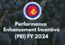 PNP Performance Enhancement Incentive 2024