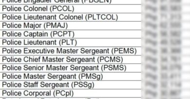 Pay and Allowances of PNP Personnel for 2025