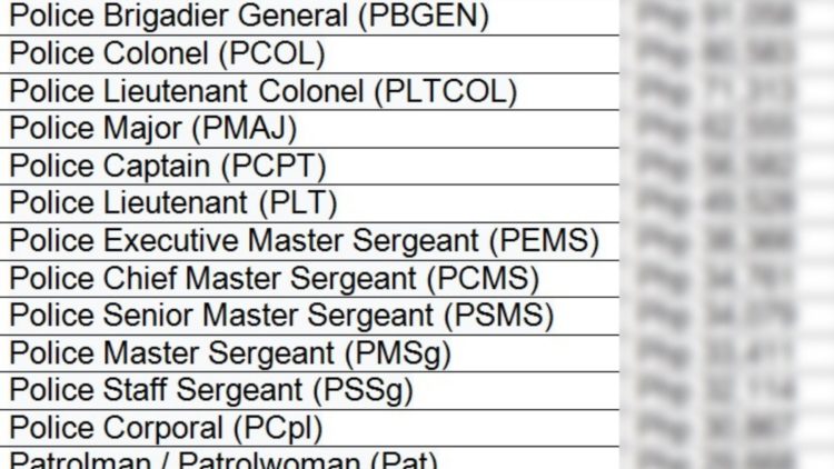 Pay and Allowances of PNP Personnel for 2025